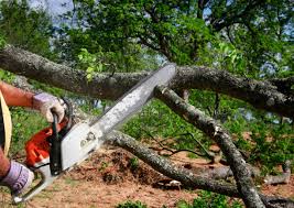 Lawn Drainage Solutions in Sea Breeze, NC